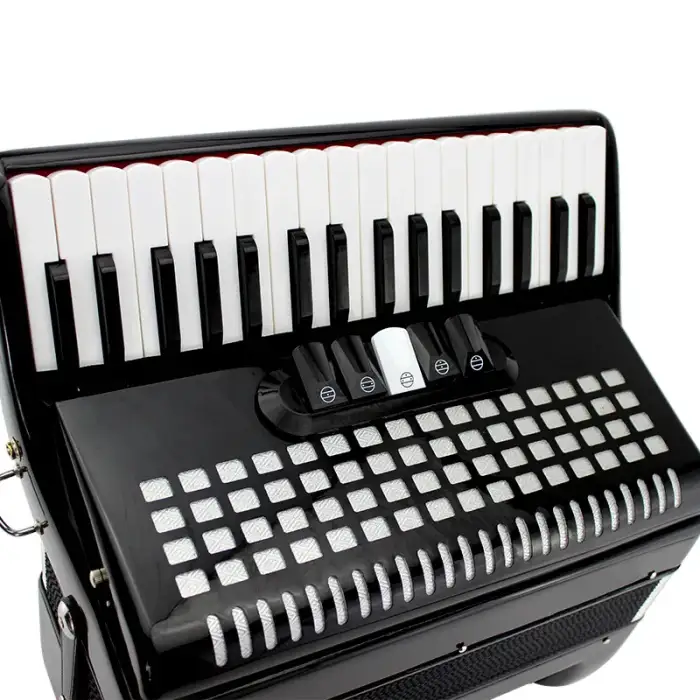 accordion musical instrument 60 bass 34 keys 5 variants