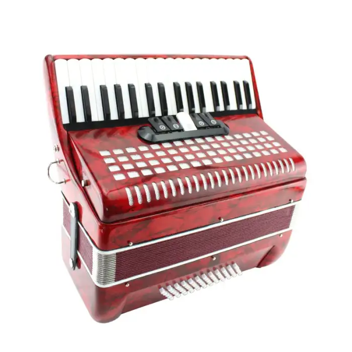 accordion musical instrument 60 bass 34 keys 5 variants