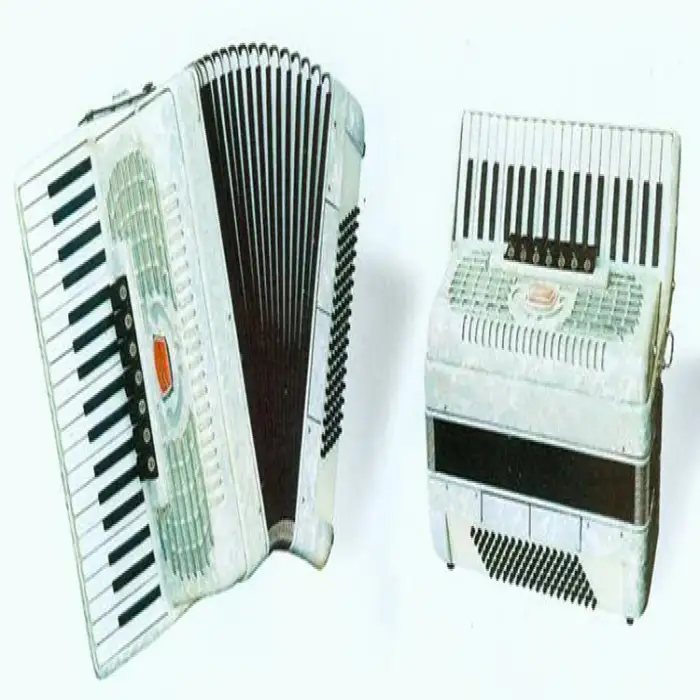 Reeds Piano Accordion Chromatic Accordion 37 Key 96 Bass 3 Sets  (K3796)