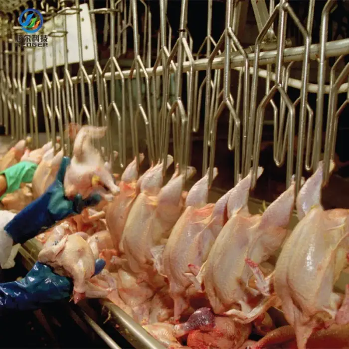 Poultry slaughter line halal chicken slaughterhouse equipment professional solution