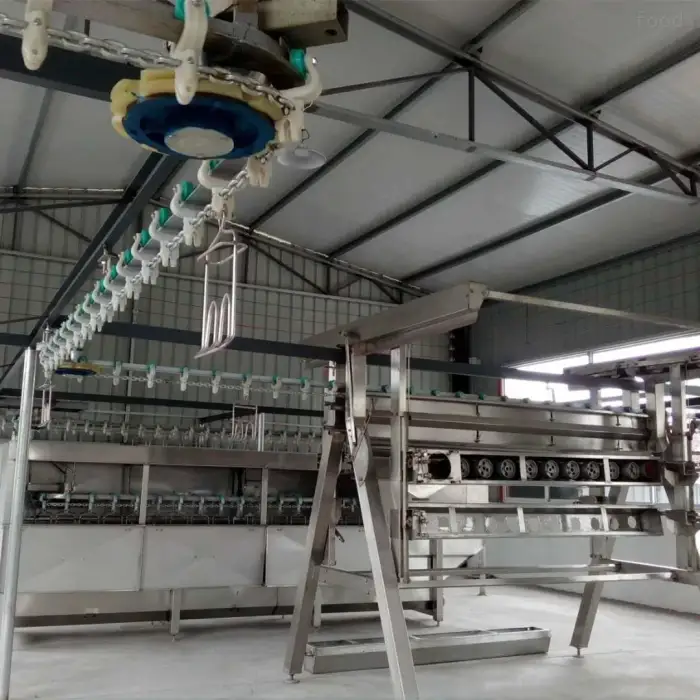 Poultry slaughter line halal chicken slaughterhouse equipment professional solution