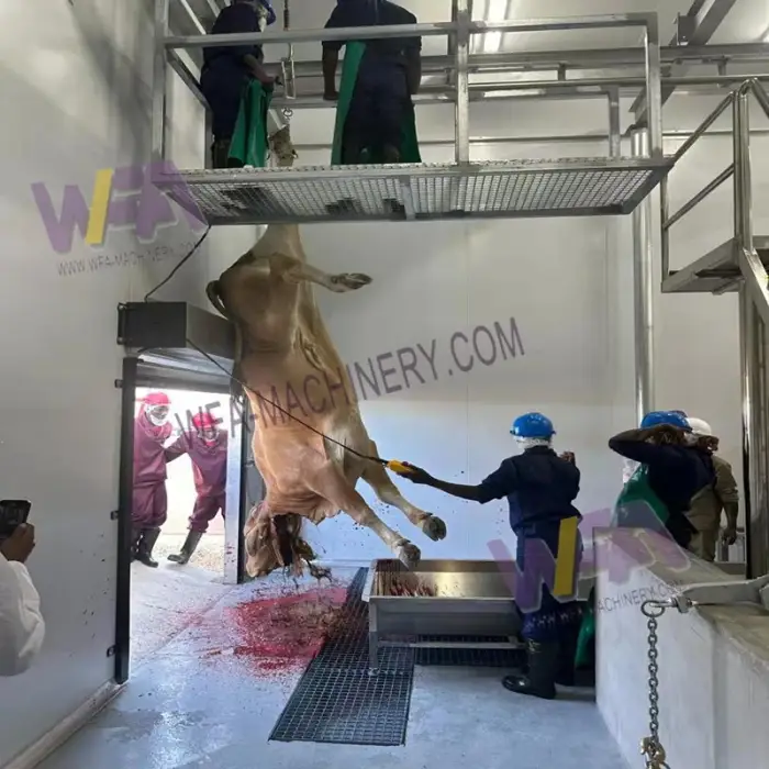 Modern cattle slaughter house plant cow slaughtering processing line abattoir machine for slaughterhouse