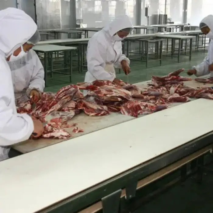 Sheep Slaughter Line Halal Abattoir Machines  Slaughterhouse Equipment For Turnkey Project