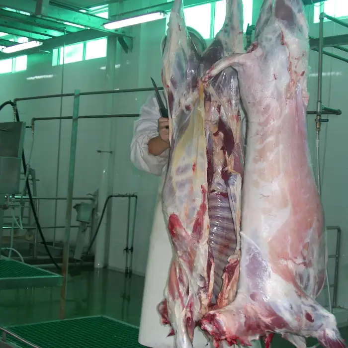 Sheep Slaughter Line Halal Abattoir Machines  Slaughterhouse Equipment For Turnkey Project