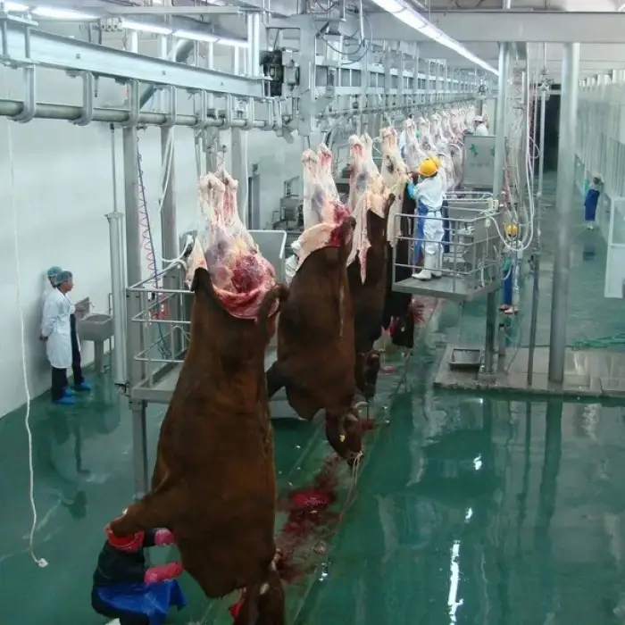 Slaughterhouse automatic cattle slaughter  line equipment