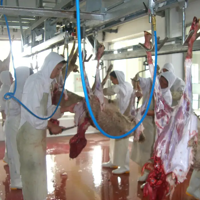 Sheep Slaughter Line Halal Abattoir Machines  Slaughterhouse Equipment For Turnkey Project