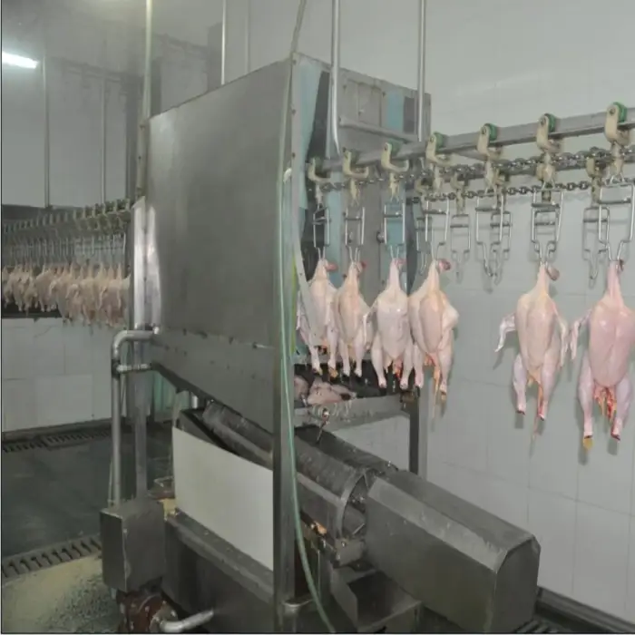 Automatic Slaughterhouse Plant Poultry Processing Abattoir Equipment Plucker Scalder Broiler Chicken Slaughtering System CNS-8000