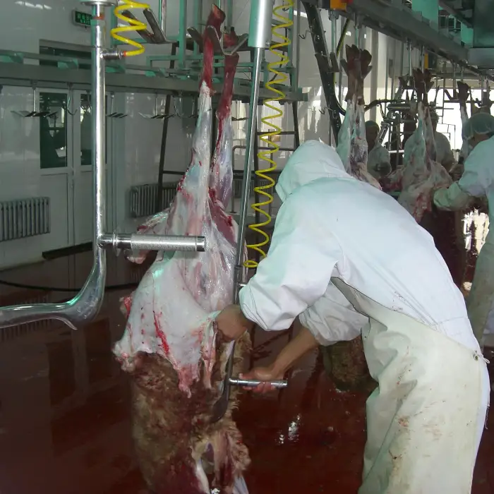 Sheep Slaughter Line Halal Abattoir Machines  Slaughterhouse Equipment For Turnkey Project