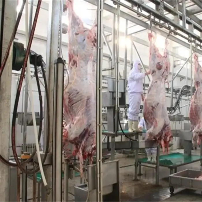 Slaughterhouse automatic cattle slaughter  line equipment