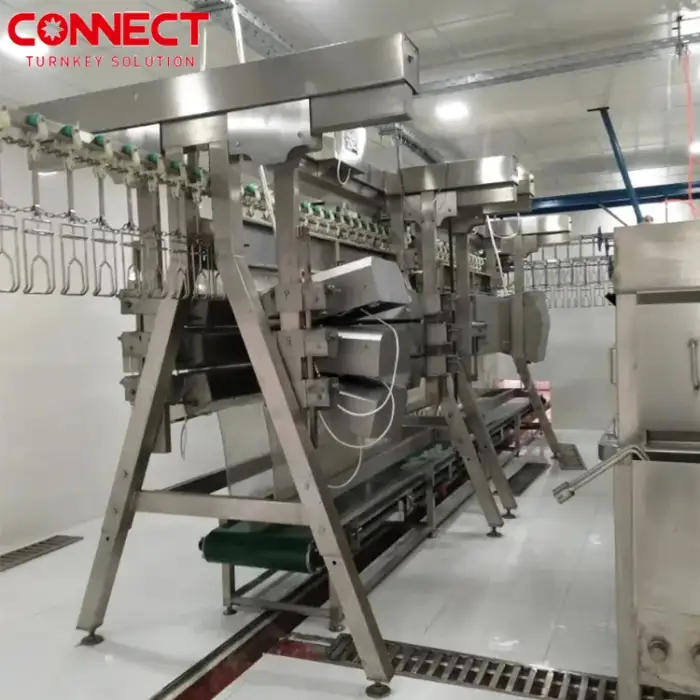 Automatic Slaughterhouse Plant Poultry Processing Abattoir Equipment Plucker Scalder Broiler Chicken Slaughtering System