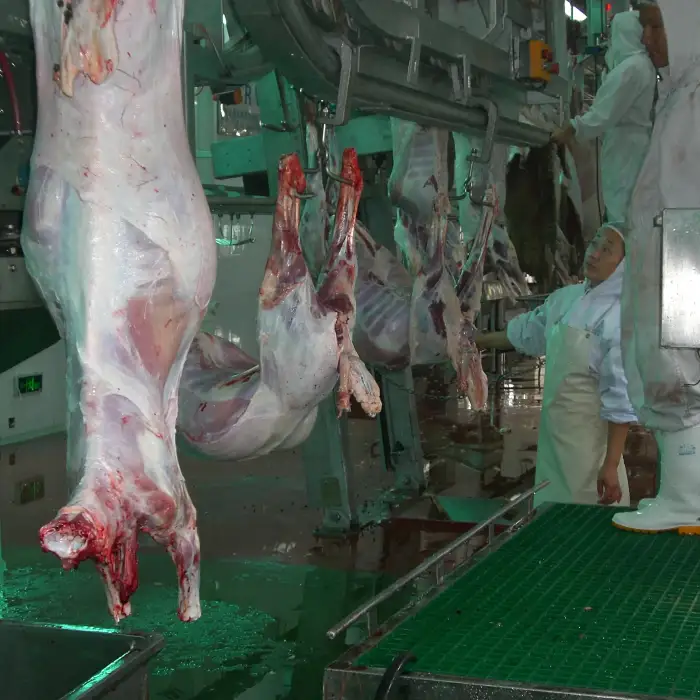 Sheep Slaughter Line Halal Abattoir Machines  Slaughterhouse Equipment For Turnkey Project