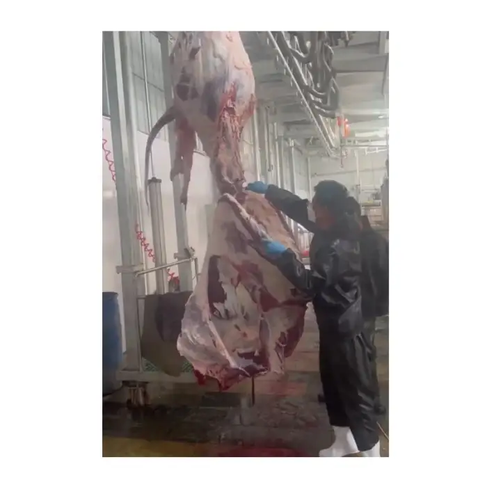 Abattoir Plant Cow Slaughter House 10 Cattle Hour Halal Meat Processing Beef Slaughter Processing Line