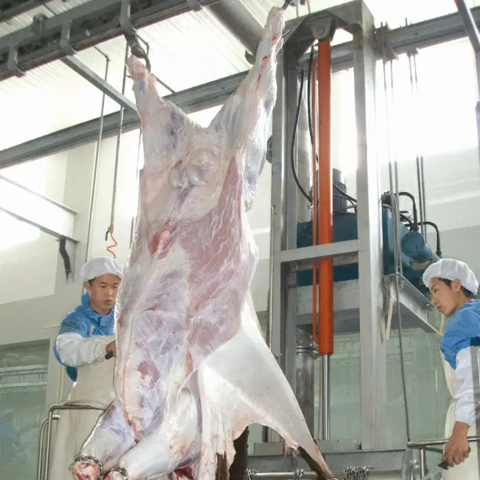 Cow Abattoir Slaughtering Processing Halal Slaughterhouse Equipment Production Line