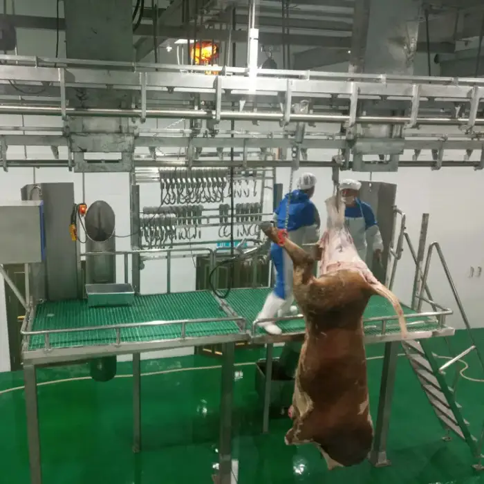 100 head per day modern cow abattoir plant cattle slaughterhouse equipment