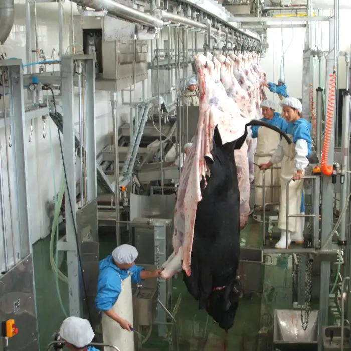 Cow Abattoir Slaughtering Processing Halal Slaughterhouse Equipment Production Line