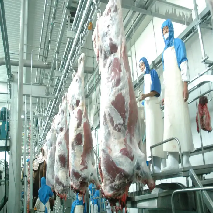 Cow Abattoir Slaughtering Processing Halal Slaughterhouse Equipment Production Line