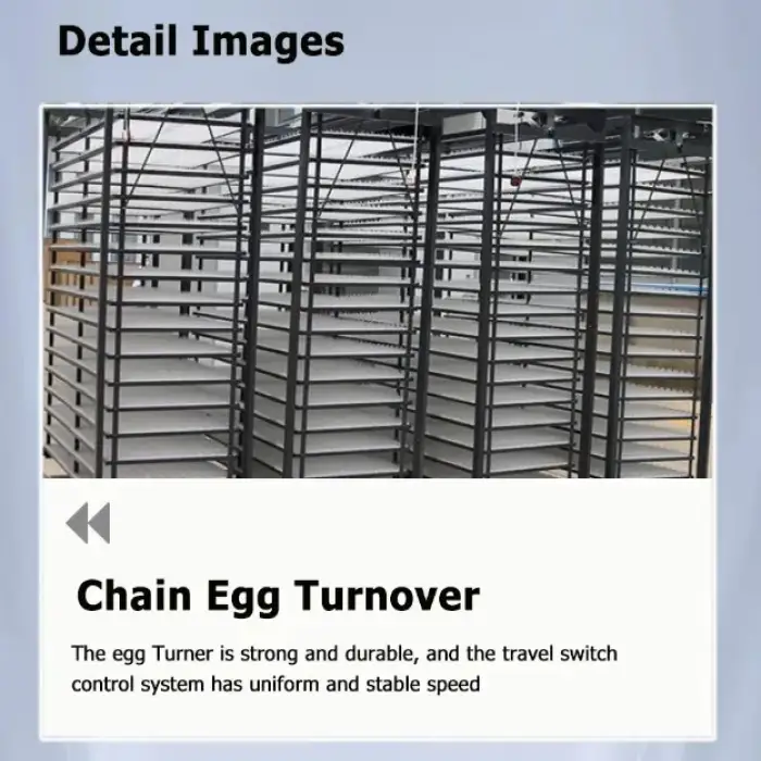 Farming Chicken Egg Incubator Brooder Equipment 16896 Egg Setter Haching Machine Incubator