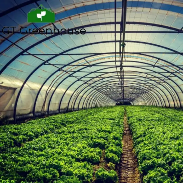 Single Span Greenhouse for Agriculture