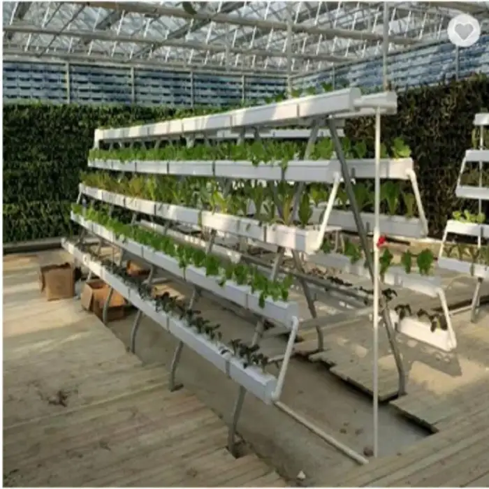 Greenhouse Hydroponics NFT system for agriculture