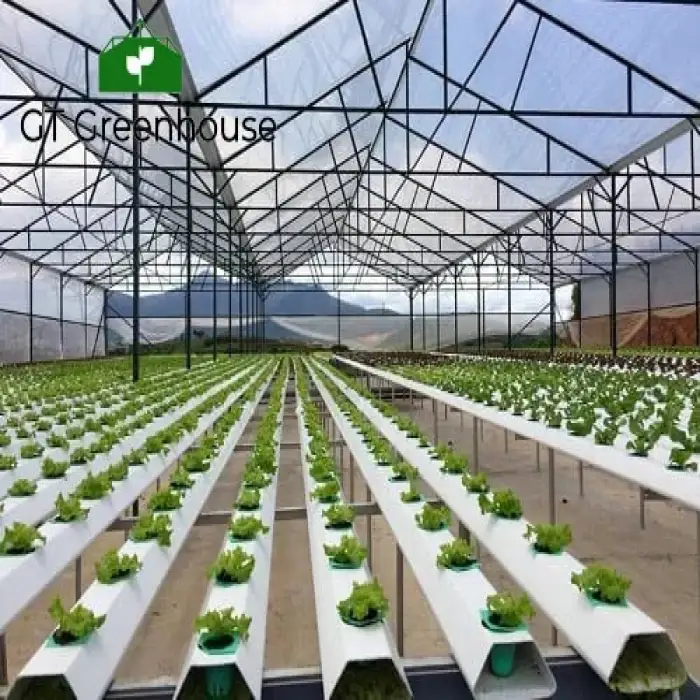 Single Span Greenhouse for Agriculture