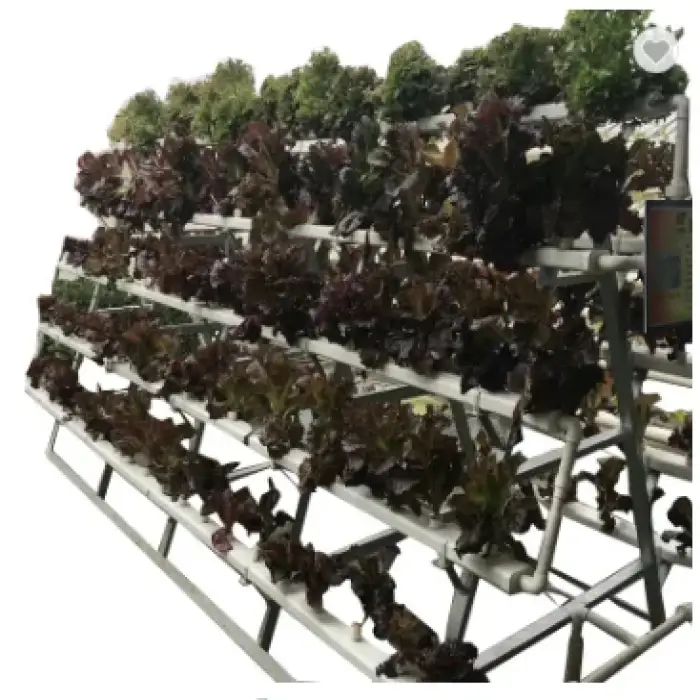 Greenhouse Hydroponics NFT system for agriculture