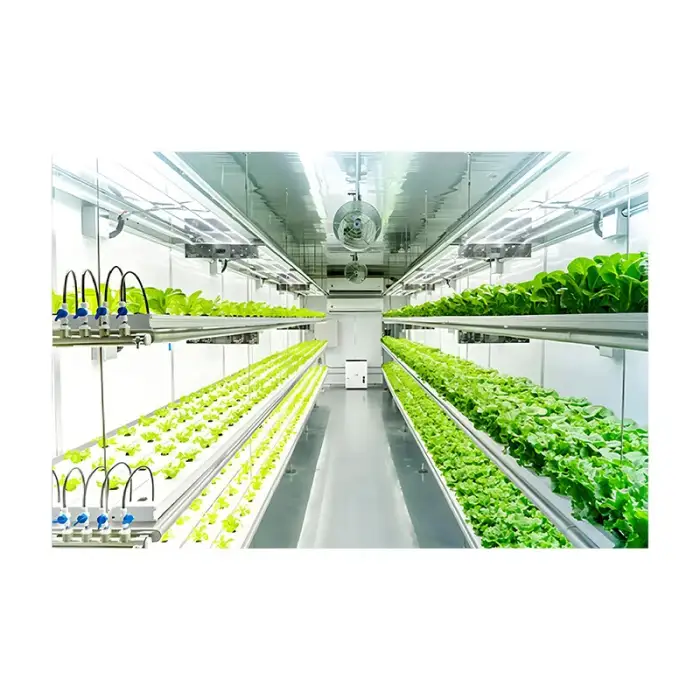 Intelligent Control NFT Channel Greenhouse Vertical Indoor Farm Plant Factory Hydroponics Container