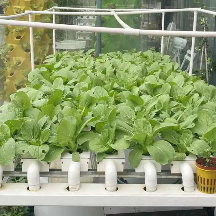 Agriculture greenhouse NFt hydroponic channel growing system