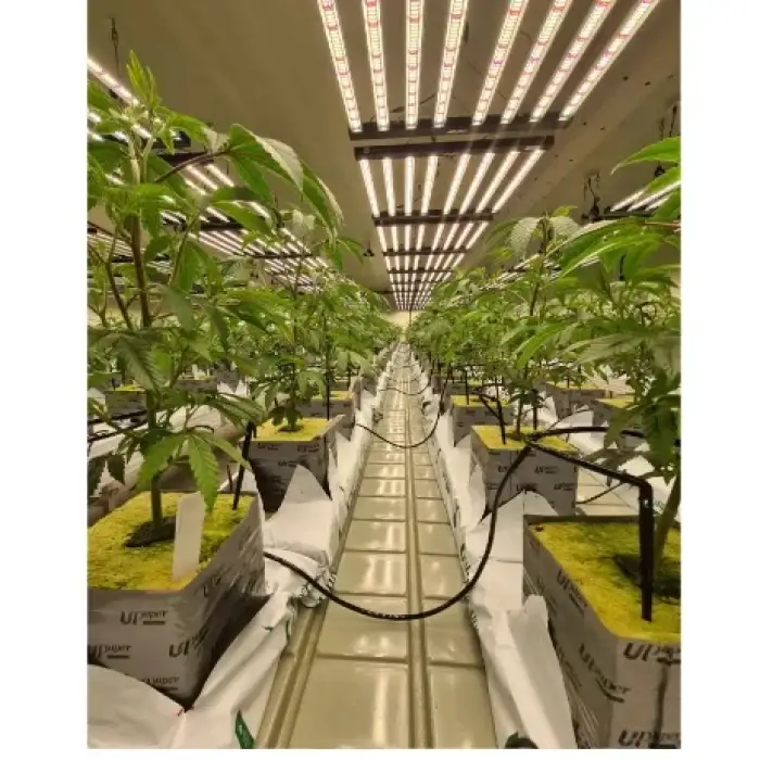 Greenhouse Automatic Control Nutrient Solution Watering Vegetable Shipping Container Farm Vertical Farm