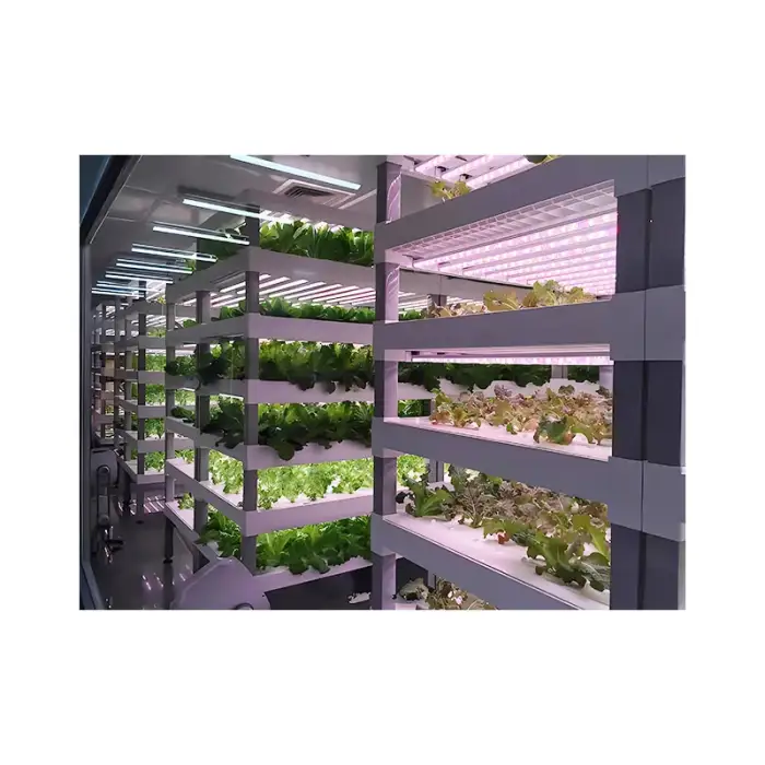 Intelligent Control NFT Channel Greenhouse Vertical Indoor Farm Plant Factory Hydroponics Container