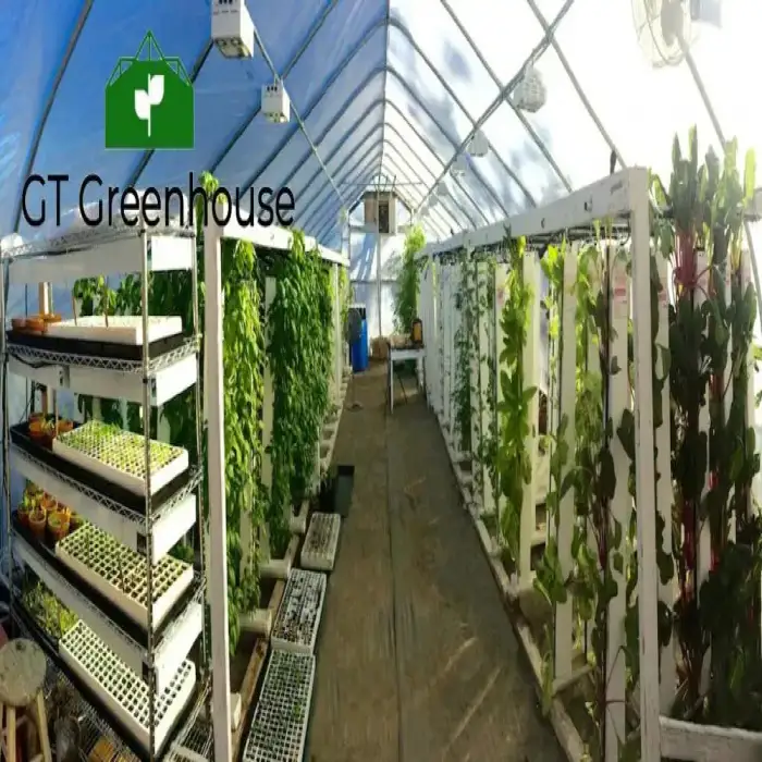 Single Span Greenhouse for Agriculture