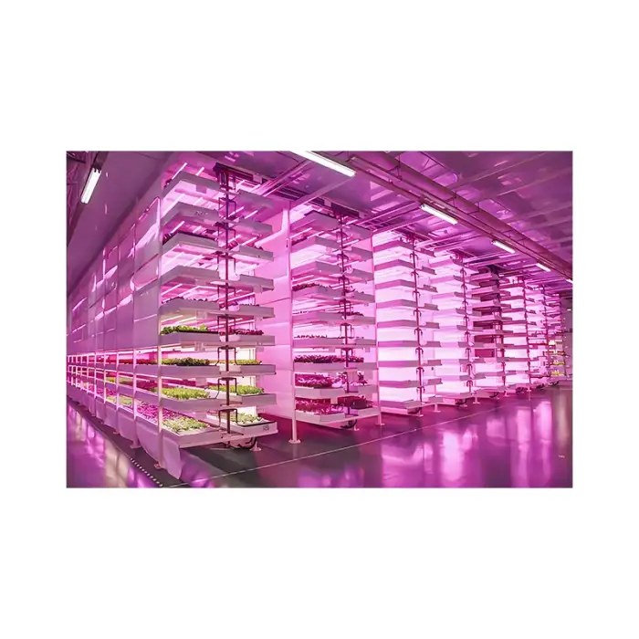 Intelligent Control NFT Channel Greenhouse Vertical Indoor Farm Plant Factory Hydroponics Container