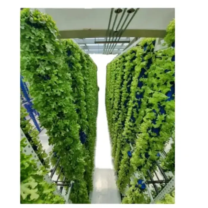 Greenhouse Automatic Control Nutrient Solution Watering Vegetable Shipping Container Farm Vertical Farm