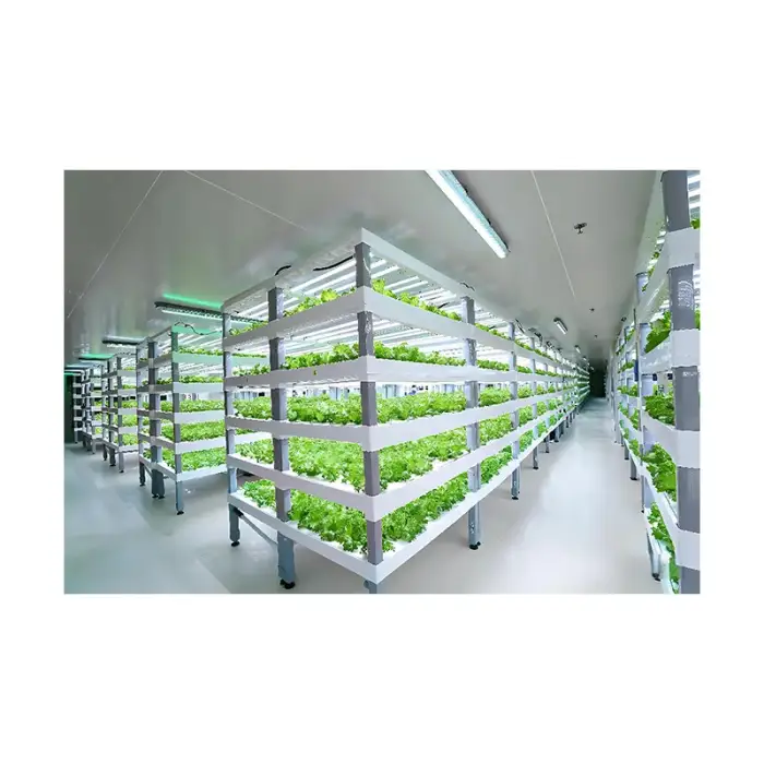 Intelligent Control NFT Channel Greenhouse Vertical Indoor Farm Plant Factory Hydroponics Container