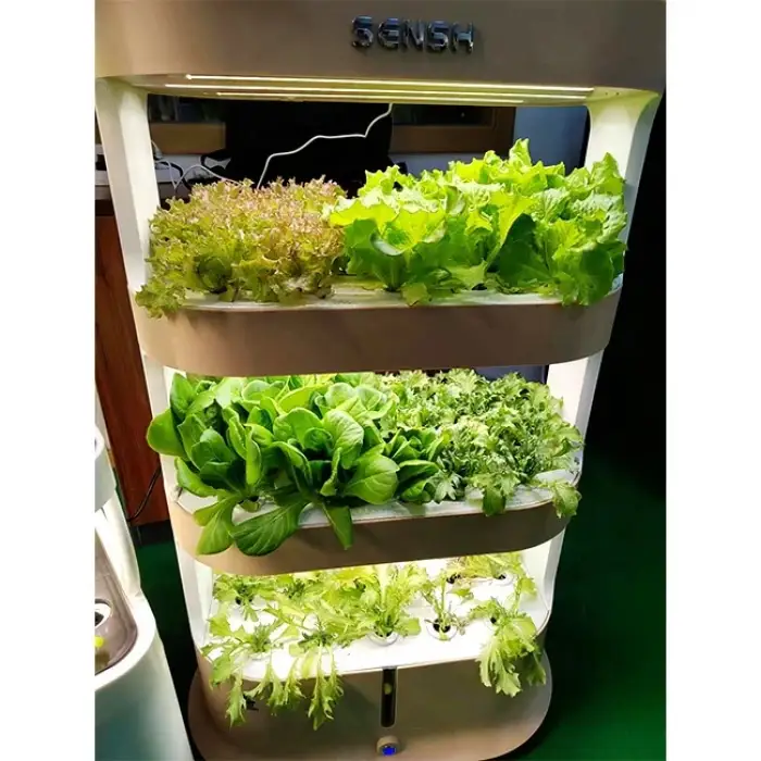 urban farming potabilization plant farming boxes fresh fruit importers tower