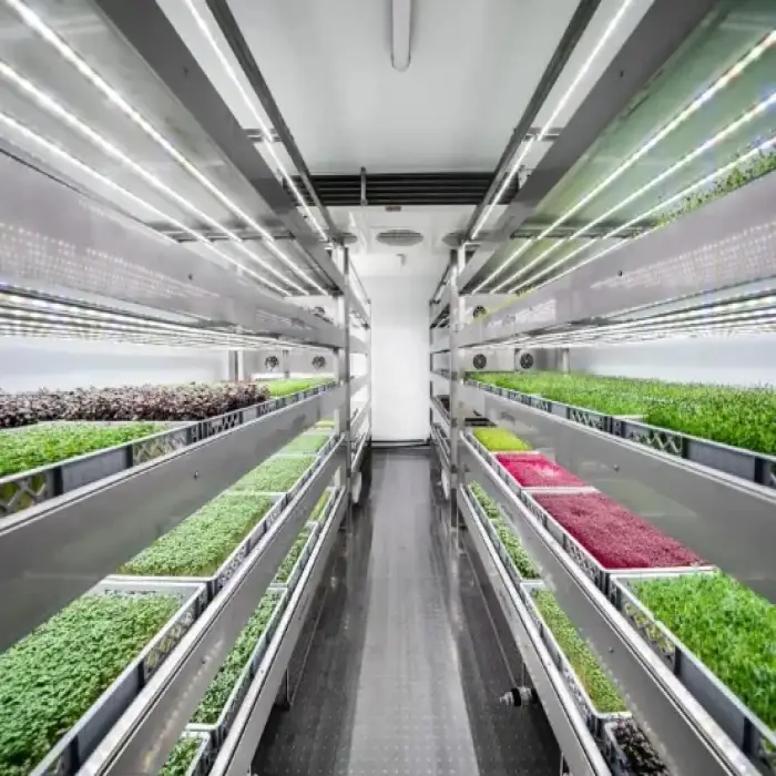 Greenhouse Automatic Control Nutrient Solution Watering Vegetable Shipping Container Farm Vertical Farm