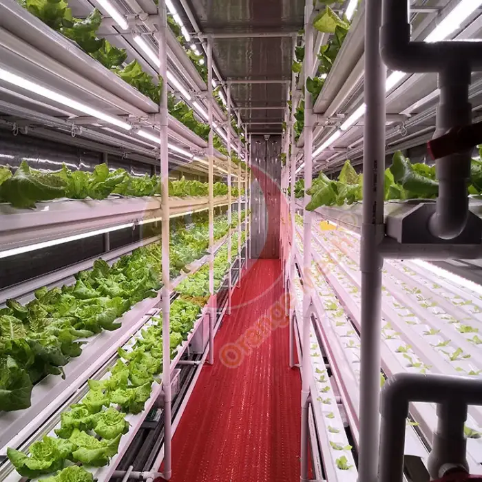 Commercial Urban Indoor Vertical Mobile Agriculture 20 Foot Farm House Grow Vegetable in Container