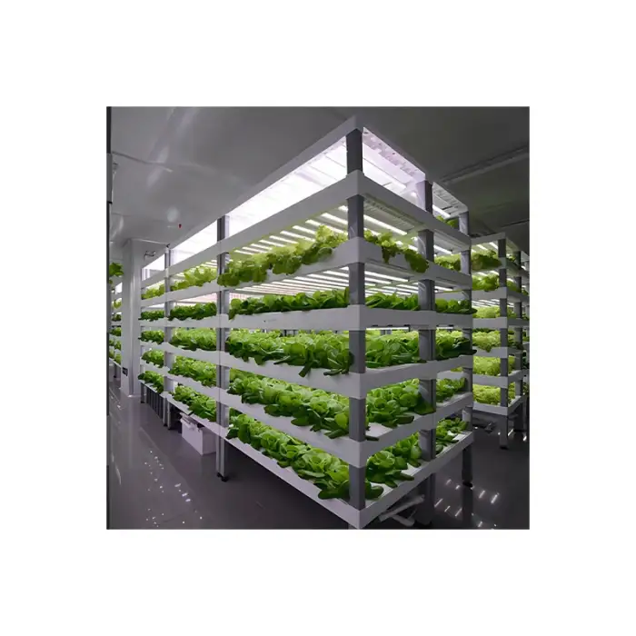 Intelligent Control NFT Channel Greenhouse Vertical Indoor Farm Plant Factory Hydroponics Container