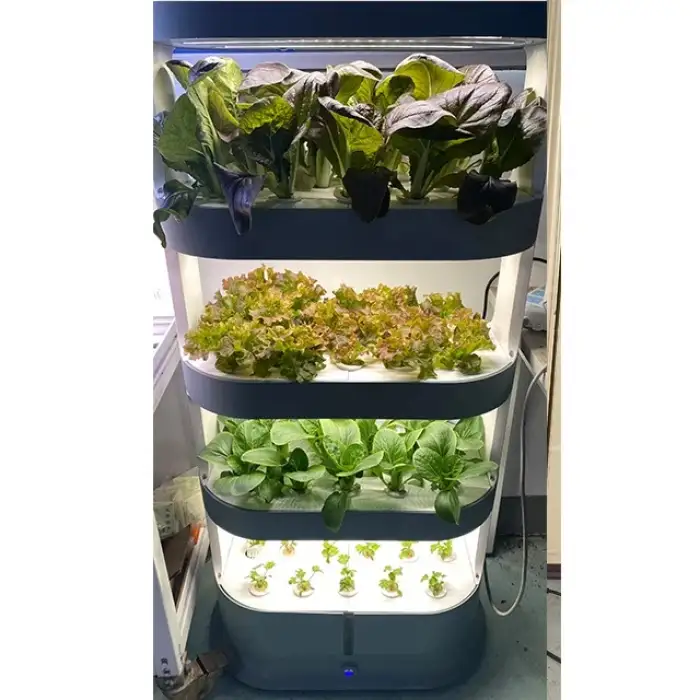 urban farming potabilization plant farming boxes fresh fruit importers tower