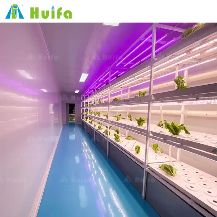 Climate Chamber Hydroponic Aeroponic Farming Room Urban Farm Grow Box Mushroom Shipping Containers