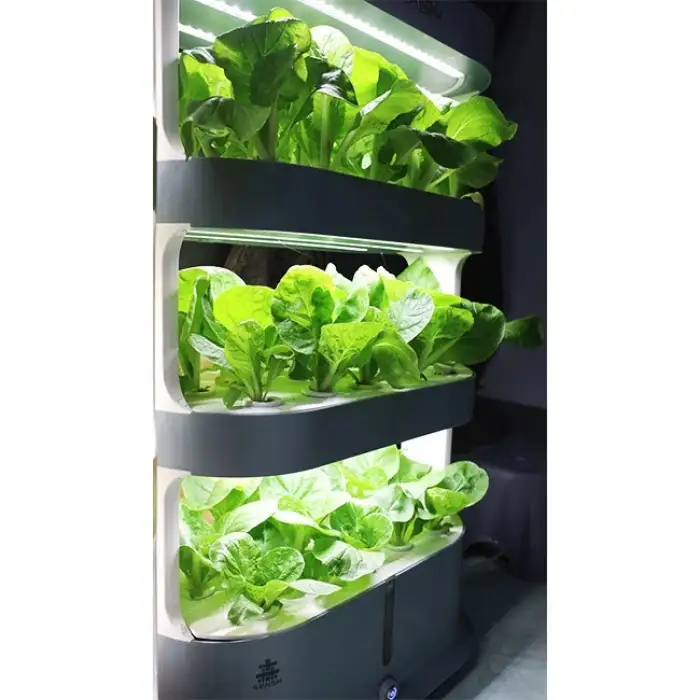 urban farming potabilization plant farming boxes fresh fruit importers tower