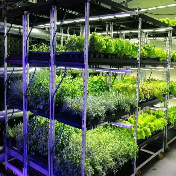 Indoor hydroponics commercial microgreen growing system hydroponics plant system greenhouse hydroponics container Farm