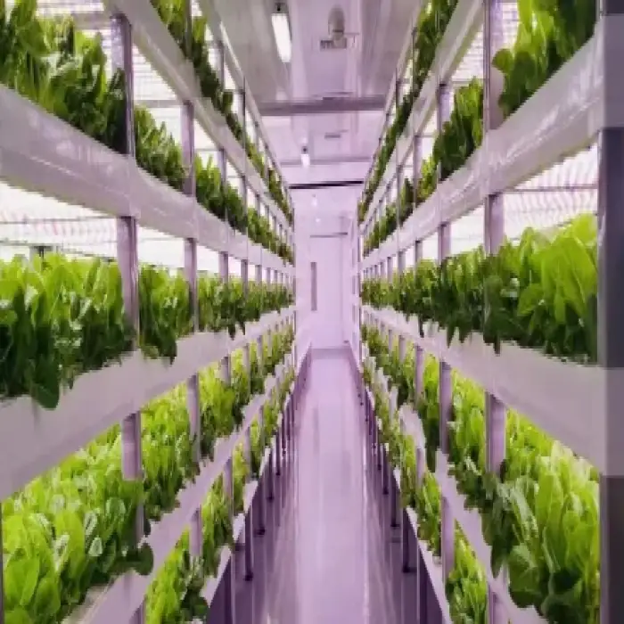 Indoor hydroponics commercial microgreen growing system hydroponics plant system greenhouse hydroponics container Farm