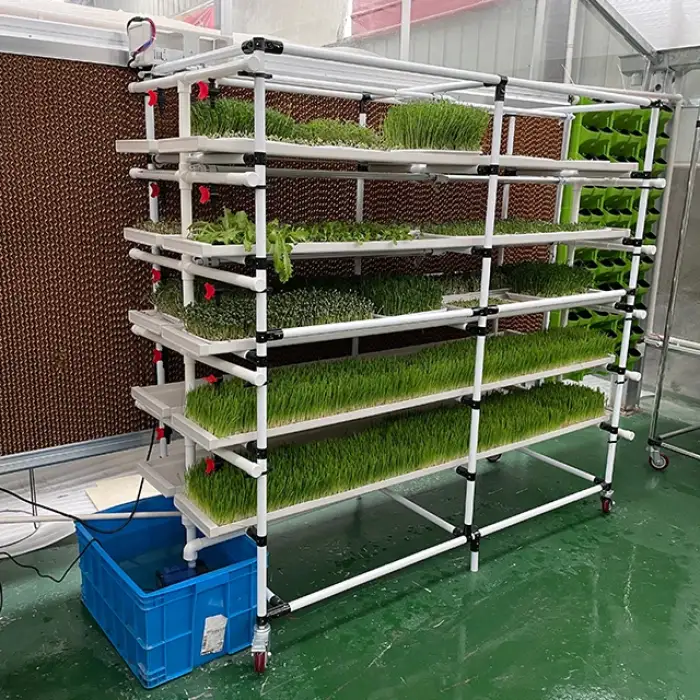 Lyine greenhouse Hydroponic Microgreen System Hydroponic Growing System Vertical Growing Rack Hydroponic Vertical Systems