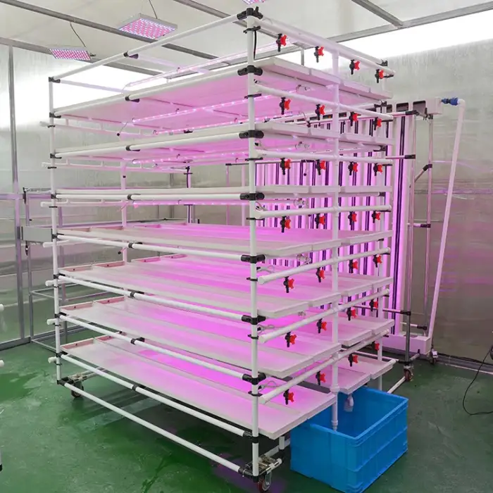 Lyine greenhouse Hydroponic Microgreen System Hydroponic Growing System Vertical Growing Rack Hydroponic Vertical Systems