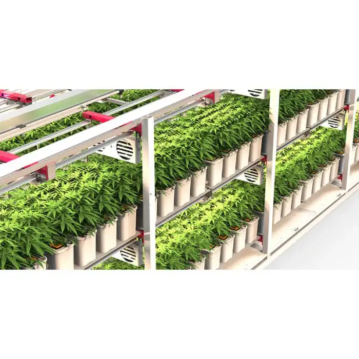 single span  greenhouse vertical Hydroponic farm for herbs flower microgreen Container