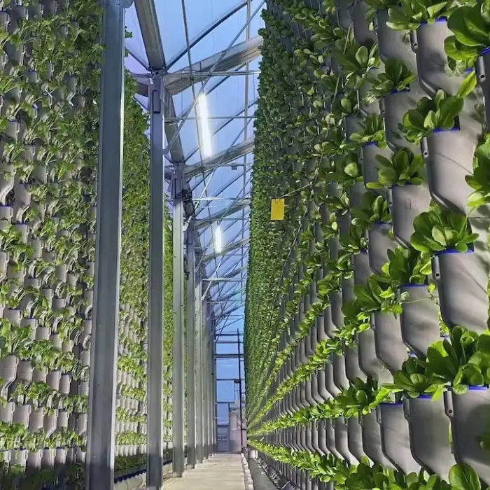 One-one Greenhouse Agriculture Hydroponics NFT System Crab Vertical Farming For Vegetable Growing