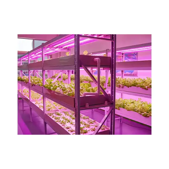 Container Farm Intelligent Control NFT Channel Greenhouse Vertical Indoor Farm Plant Factory Hydroponics Container