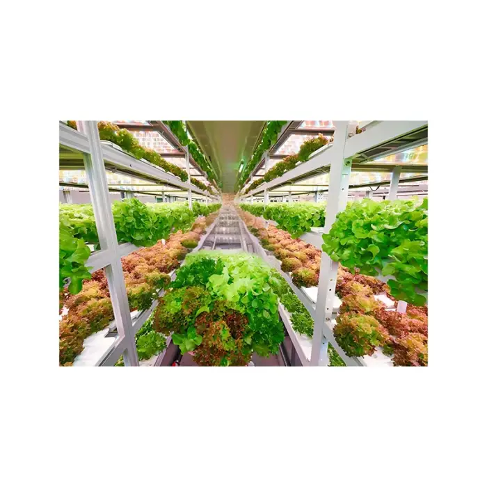 Container Farm Intelligent Control NFT Channel Greenhouse Vertical Indoor Farm Plant Factory Hydroponics Container