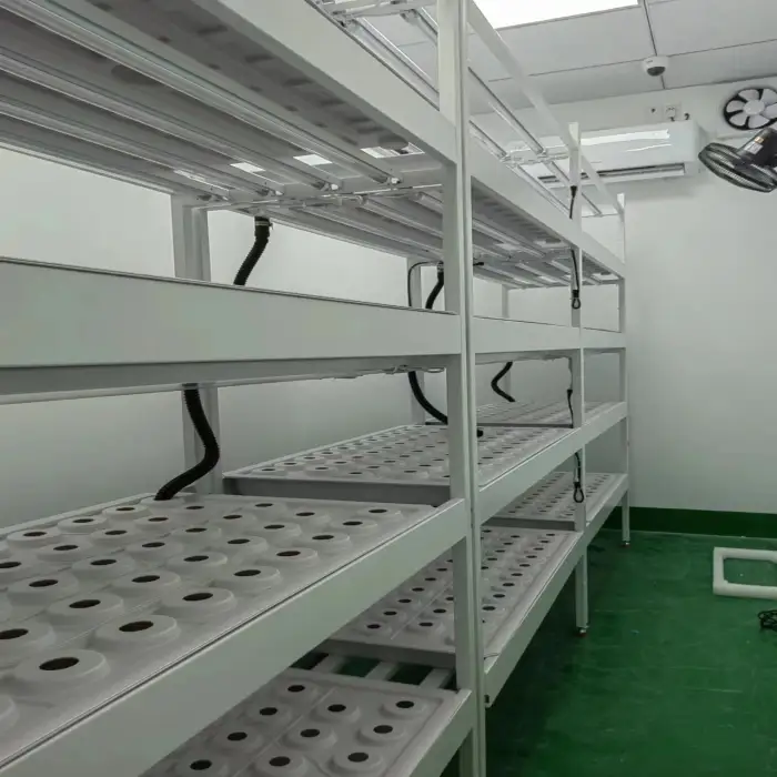 Indoor Vertical farm plant factory hydroponic automatic indoor planting greenhouse agricultural equipment Greens and berry