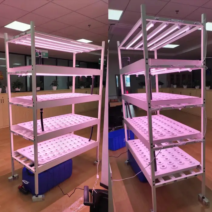 Indoor Vertical farm plant factory hydroponic automatic indoor planting greenhouse agricultural equipment Greens and berry